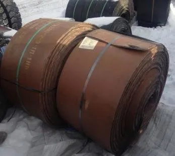 фото Лента конвейерная пищевая 3П-1400-4-ТК-200-2-3-1-РБ