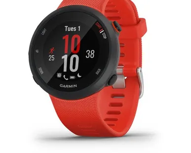 фото Часы Garmin Forerunner 45 красные