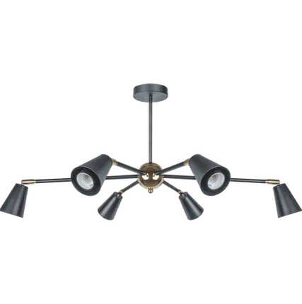 Фото №0 Светильник Navigator 80 439 NLF-C-051-01 потолочный черный, золото