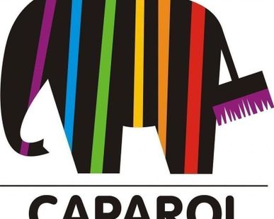 фото Краска фасадная Caparol Muresko-Premium 10 л