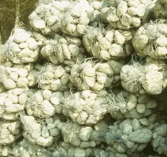 фото Габион цилиндрический