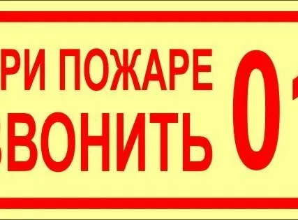 Фото №0 Знак ФЭС «При пожаре звонить 01» (пластик)