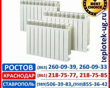 фото Радиатор отопления алюминиевый Ferroli Ферроли (Италия)