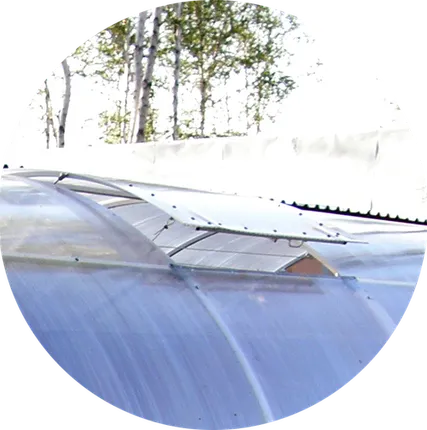 Фото №0 ФОРТОЧКА К ТЕПЛИЦЕ ПОЛЬЗА-3