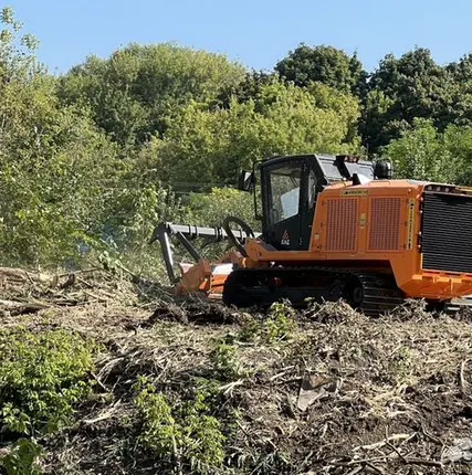 Фото №2 Гусеничный мульчер, расчистка от деревьев