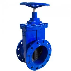 фото Задвижка Ci 30ч39р с обрезиненным клином 250