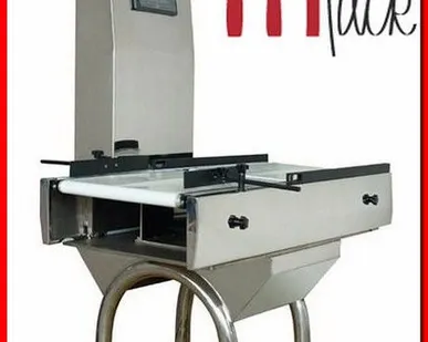 фото Конвейерные весы