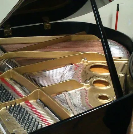 Фото №0 Перевезти пианино, рояль по Екатеринбургу с грузчиками.