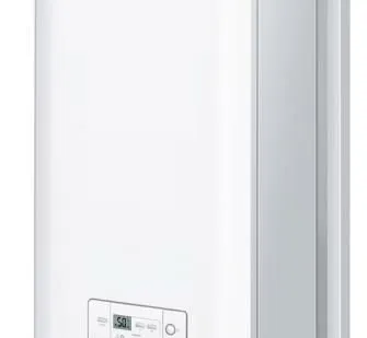 фото Газовый котел Protherm Гепард 23 MTV