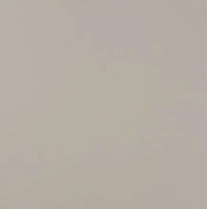 Фото №0 Atlas Concorde ARKSHADE Arkshade Light Dove 40x80 (8AKV) Керамическая плитка