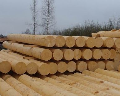 фото Оцилиндрованное бревно большого диаметра 300-1500 мм, дуб
в