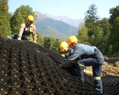 фото Георешетка Прудон 494