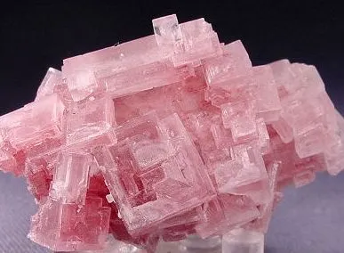 фото Галит.