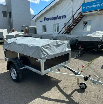 Фото №0 Прицеп Ижевск Средний (Фанерные борта) (цинк)