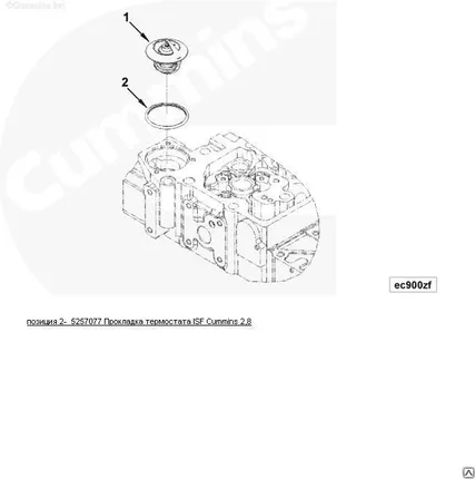 Фото №0 Прокладка термостата 5257077
