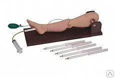 фото Модель ноги для пункции костного мозга, для венопункции L65A