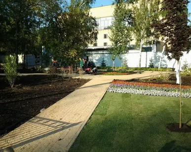 фото Укладка рулонного газона.