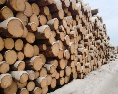 фото Кругляк пиловочник, сосна, D 27 см, ЕВ, Н 6м (35 шт)