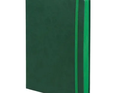 фото Ежедневник Factor, недатированный, зеленый