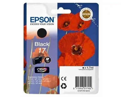 фото Картридж Epson C13T17014A10