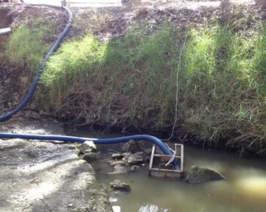 фото Услуга по откачке воды