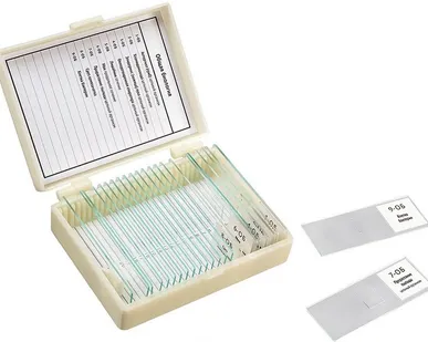 фото Набор препаратов «Общая биология» 9 образцов