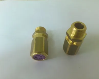 фото Клапан предохранительный 16 атм. (Aircast LB-30, LB-75,LT100-16, W115-16)