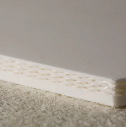 Фото №0 Конвейерная лента ПВХ пищевая Barnaul (Барнаул)