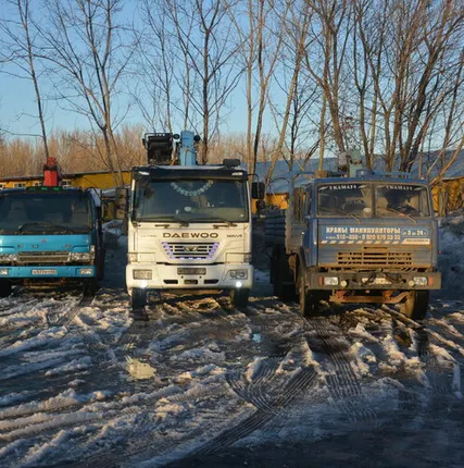 Фото №0 Манипулятор