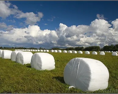 фото Агрострейч плёнка Biofol 750, метров в рулоне 1500