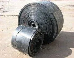 фото Лента конвейерная жиростойкая МС-1600-4-ТК-200-2-5-2-РБ