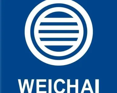 фото Венец маховика (136 зубьев, 430мм.) Weichai WD615/WD10/D12