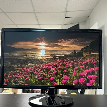 Фото №0 24" Монитор Samsung S24D300H, 1920x1080, 75 Гц