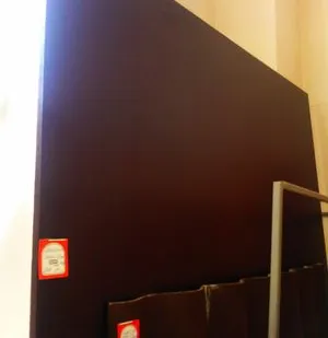 фото Фанера Ламинированная (ФОФ) 18 мм сорт 1/1 р-р 2500*1250м "Финская" МостовД