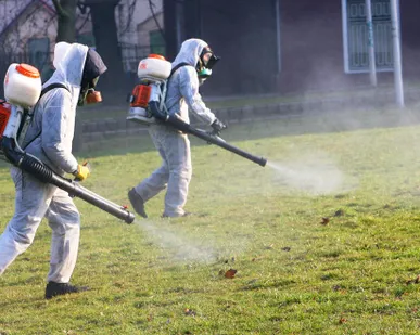 фото Дезинсекция