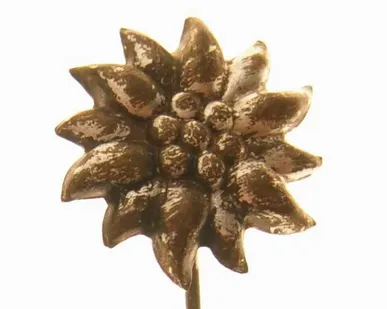 фото Альпийский фрачный знак с Эдельвейсом