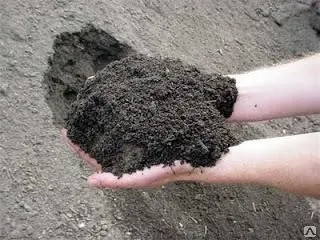 Фото №0 Грунт (плодородная земля)