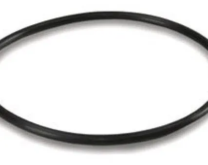 Фото №0 Уплотнительное кольцо для колбы STD10SL от Atoll