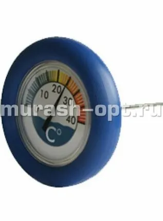 Фото №0 Термометр для бассейна в картоне D175мм (2)