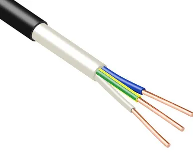 фото Кабель ВВГнг(А)-LSLTx 3х2.5 (N PE) 0.66кВ (м) Промэл 13475820