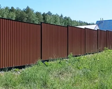 фото Заборы из профнастила