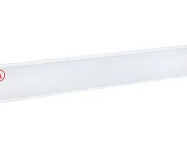 фото Накладной аварийный светодиодный светильник OS-NIP-65-A1-40L