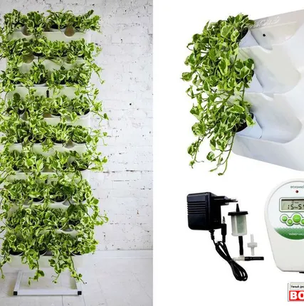 Фото №0 АВТОПОЛИВ ДЛЯ КОМНАТНЫХ РАСТЕНИЙ