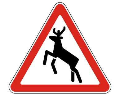 фото Знак дорожный 1.27