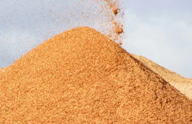 фото Древесный опил