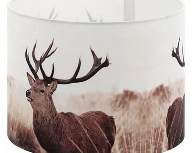 фото Плафон Eglo 49863