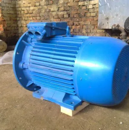 Фото №0 Электродвигатель 5АМ 315МВ6