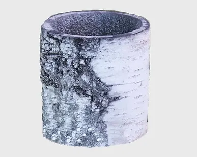 фото Цветочница Берёза маленкая