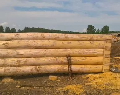 фото Баня из осины
