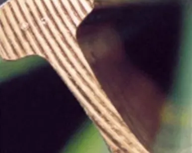 фото Рельс 100 КР Крановые ГОСТ 4121-96 ДСТУ 2484-94 ТУ 14-2Р-393-2005
в